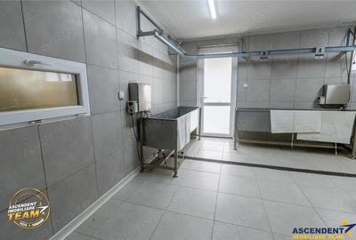 FILM! Ferma de iepuri,Malnas,Covasna: domeniu industrial comercial,asset UE - 16