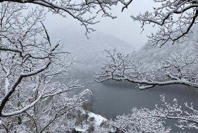 Teren de 1000 mp, în Tarnița - 3