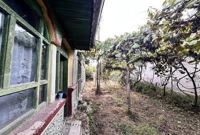 CASUTA DE VANZARE - TEREN 1000 MP - CONTESTI - 4