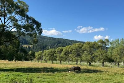 Vanzare 33400 parcelat- 18 loturi - Plaiul Sarului la sosea- microdezvoltare - 6