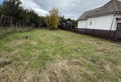 Teren intravilan 890mp in Chinteni - zona centrala, strada principala - 2