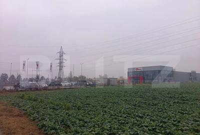 Teren de 15000 mp, în Păulești - 3