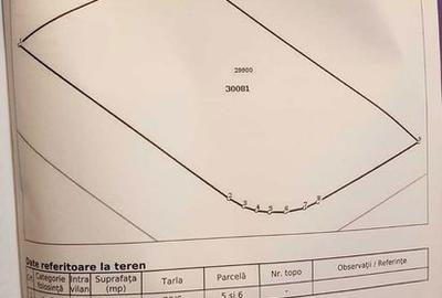 Teren de 608 mp, în Frumușani - 4