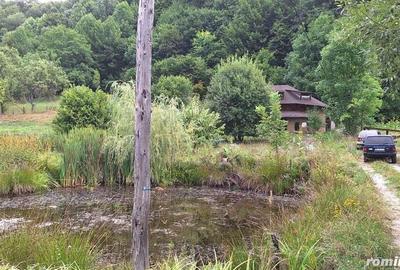 VANZARE ANSAMBLU CASUTE BRADULET ARGES - 10