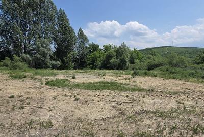 Teren de vânzare - 1.000 mp - Tărlungeni, zonă în dezvoltare - 3