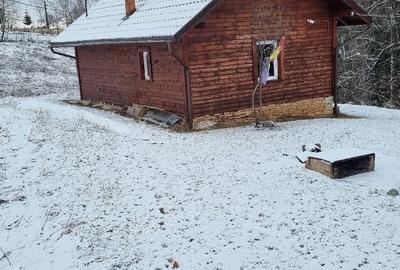 Teren de 10000 mp, în Râșca - 4