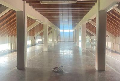 Inchiriez spatii comerciale si industriale in Dumbravita - 1