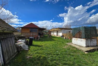 Herneacova-Casa si Teren-Livada- 2876 mp- Front 37m - 7