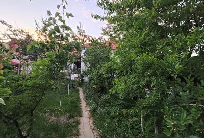 Apartament cu 2 camere în Elisabetin - 19