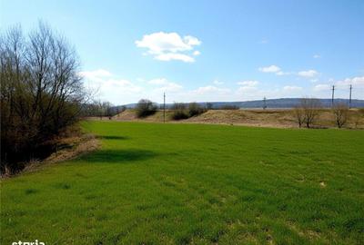 Spațiu comercial, în Pătrăuți - 3