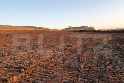 Teren de 28800MP(2.8ha). Pregatit pentru investitie! - 5