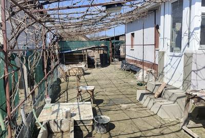 Casă cu 3 camere în Central - 8