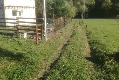 Casă cu 3 camere în Afumați - 3