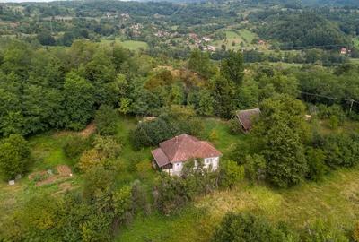 Casă individuală cu 3 camere cu Teren 9995 Mp în Ormindea - 16