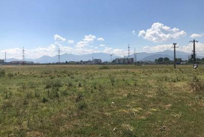 Spațiu comercial, în Sânpetru - 4