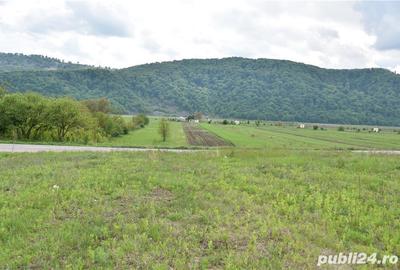 Teren de 5000 mp, în Cut