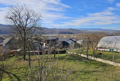 Casă cu Teren 1520 Mp în Nănești - 3