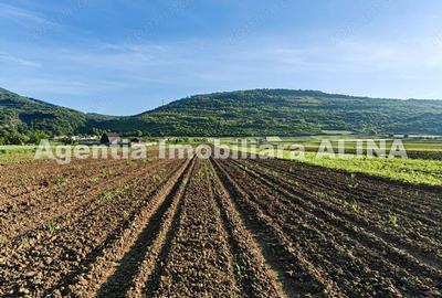 Teren intravilan 4094mp in Satul Soimus din Comuna Soimus, Jud. Hunedoara. - 7