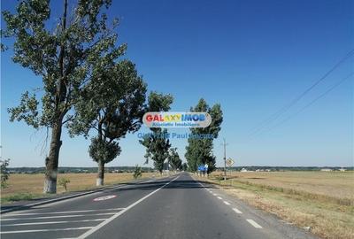 Teren  Chitila Buftea  DN7 la  Noda Autostrada A0  Industrial 65000 mp