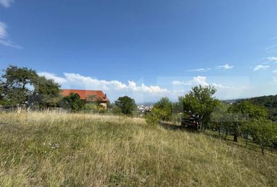 Teren intravilan de vanzare, 1495 mp, in Deva - 2