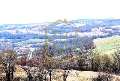 Teren agricol extravilan de 25000 mp, în Secaș - 4