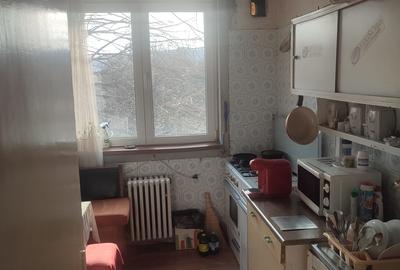 Apartament semidecomandat în Jiului