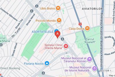 2 camere, terasa 19 mp, Piata Victoriei-Parcul Kiseleff-Pta 1 Mai - 1