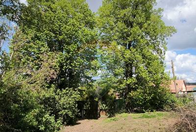 Teren intravilan 3.269 mp in Slimnicpanorama superba... - 4