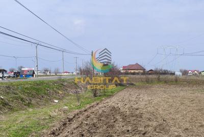 Teren agricol extravilan de 10000 mp, în Frumușani - 1