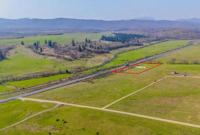 Teren de 7786 mp, în Vlădeni - 4