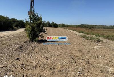 Teren de 2960 mp, în Lipănești - 4