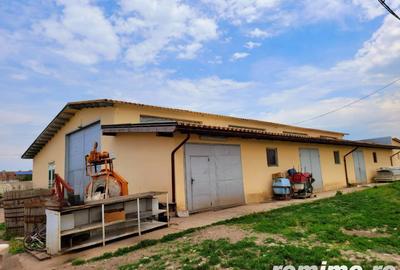 Domeniu, 9,5 ha, 25 KM de Timisoara - 12