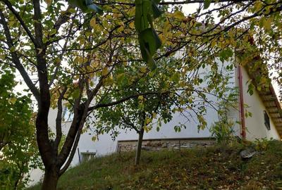 Casa la munte Cerasu - 4