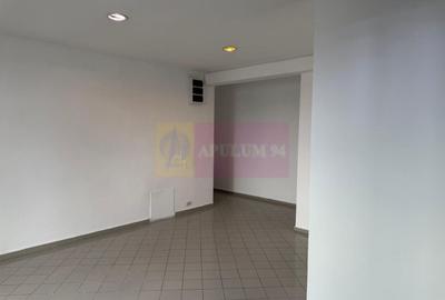 Proprietate specială, de 800 mp, în Theodor Pallady - 14