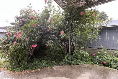 Casă cu 4 camere în Humulești - 14