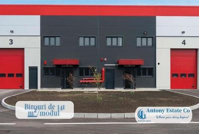 Depozit, Hala Industriala de inchiriat, Giarmata, Timisoara - 9