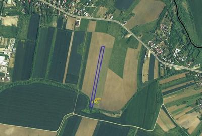 Teren intravilan Niculesti - 9.589 mp Dambovita - 3