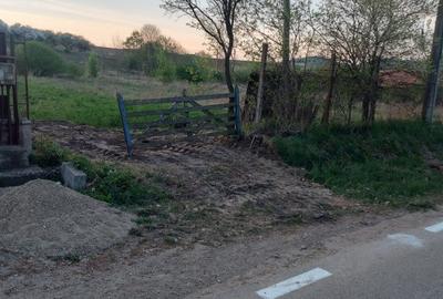 Teren de 1800 mp, în Ciurila - 4