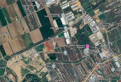 Clinceni, teren de 4.592mp cu dubla deschidere, aproape de Centura Bucuresti! - 8