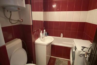 Garsoniera de inchiriat Dristor Vitan - 5