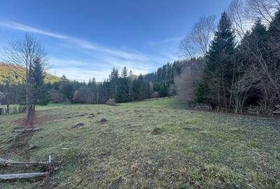 De vanzare 6850 mp pasune langa Manastirea Doroteia - Frasin /Plutonita - 6