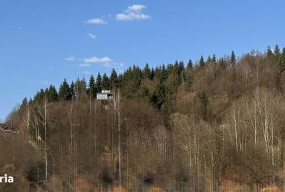 Spațiu comercial, în Firiza - 3