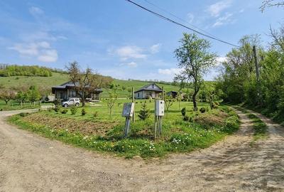 Spațiu comercial, în Tomești - 2