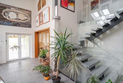 Casa / Vila cu 10 camere, de vanzare. Todireni, Botosani. - 20