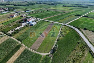 Teren intravilan de vânzare - 4300 mp | Deschidere generoasă | Fărcașa, MM - 4