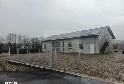 Spațiu comercial, de 300 mp, în Pătrăuți - 9