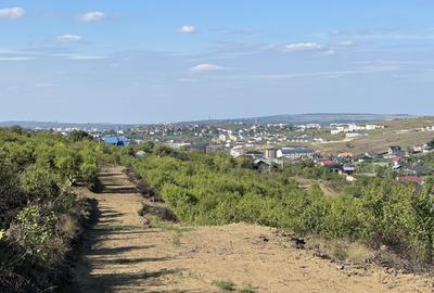 Teren Intravilan, Loturi 619 - 1124 mp, zona Verde, Visan - 1