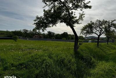 Teren de 2300 mp, în Gârcina - 3
