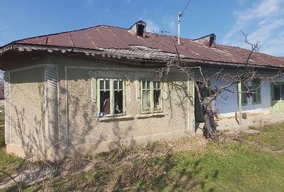 Teren de 1534 mp, în Greci - 3