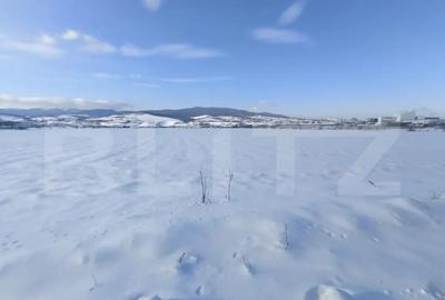 Teren de 7000 mp, în Central